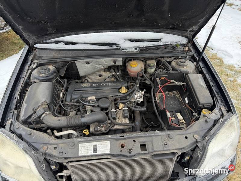 Opel Signum części Kielce