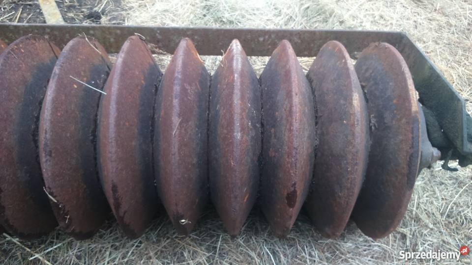 Wal pierscieniowy posiewny mazowieckie Łukowo