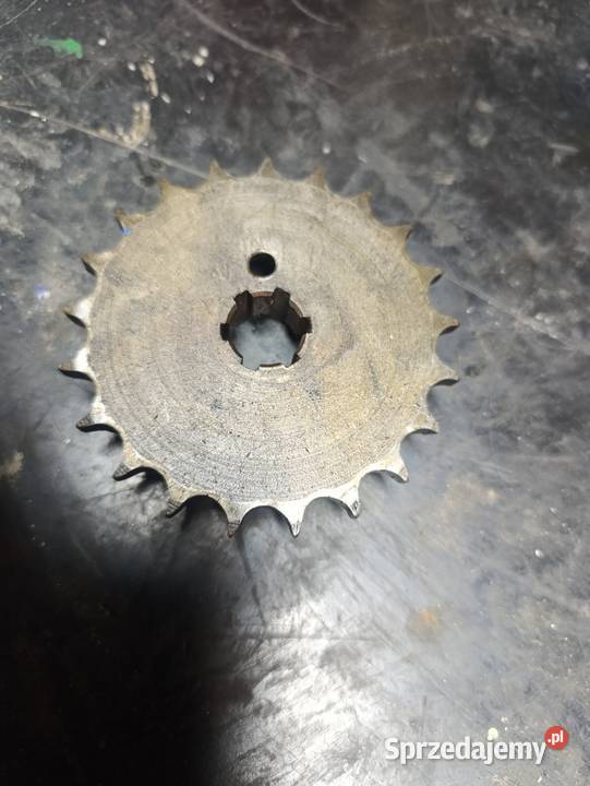 Mz trophy ts podkarpackie Rzeszów