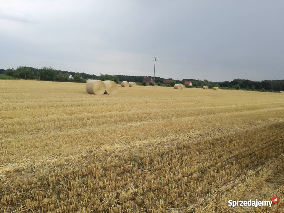 Usługi rolnicze prasowanie mulczowanie siew kuku Rudniki sprzedam