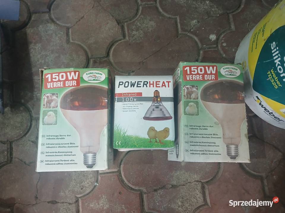 Lampy do naswietlania pisklakow Rolnictwo Kraków