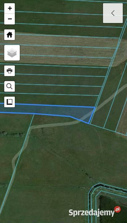 Łąka 10395m2 koło Szubina działka ziemia rolna Szubin