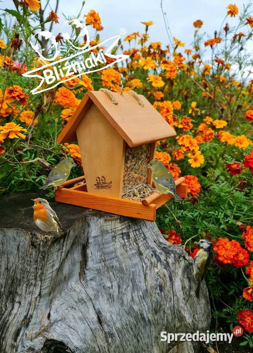 KARMNIK PTAKÓW na parapet z zasypem na ziarno z Zielona Góra