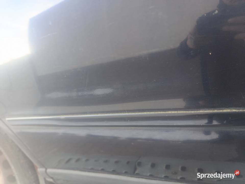 Drzwi Gołe Tył Prawa LZ5L Audi A4 B5 a44 Drzwi Myszków