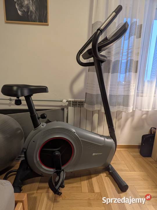 Rower stacjonarny HopSport HS100H Solid
