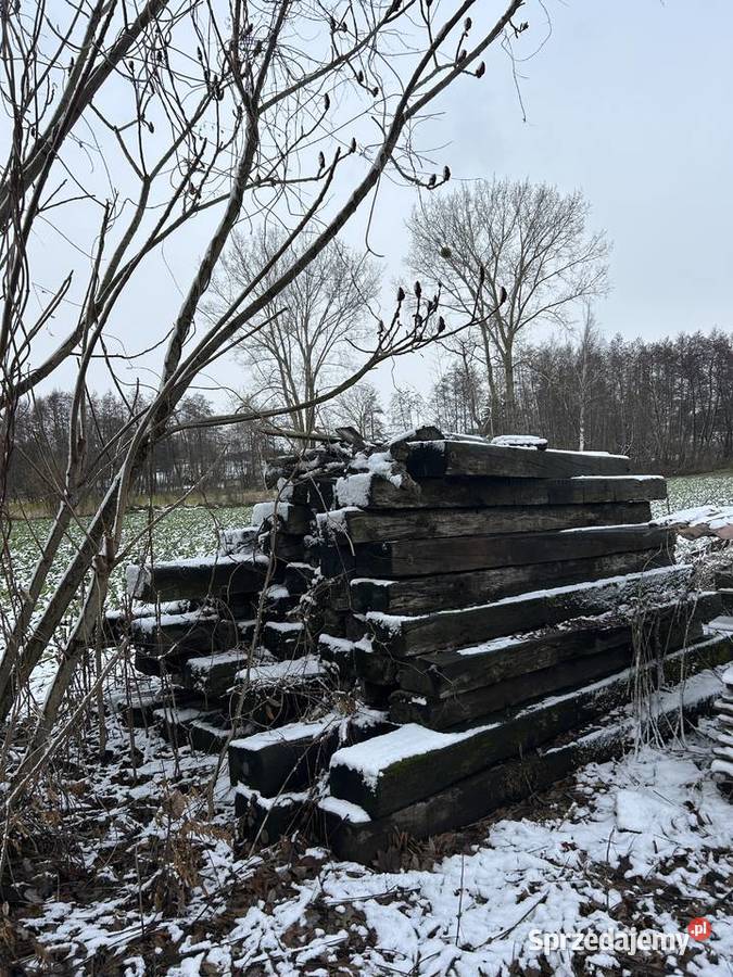 Belki ogrodowe lubelskie Tomaszowice
