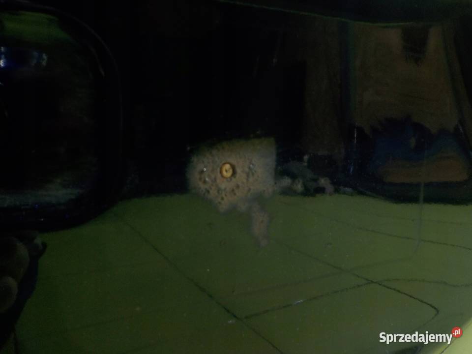 MAZDA 6 GJ III LIFT 15r SEDAN 4D klapa tyl Karoseria mazowieckie Suków