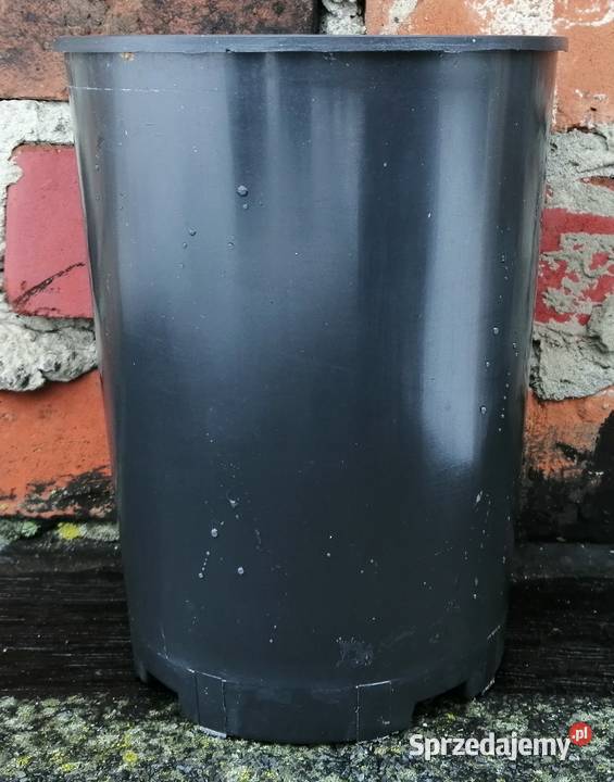 Doniczki wysokie produkcyjne okrągłe 16 3L do Siewierz sprzedam