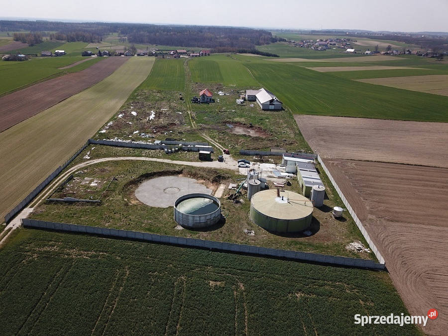 Synyk sprzeda zabudowana działkę w Kotulinie budowlana Kotulin