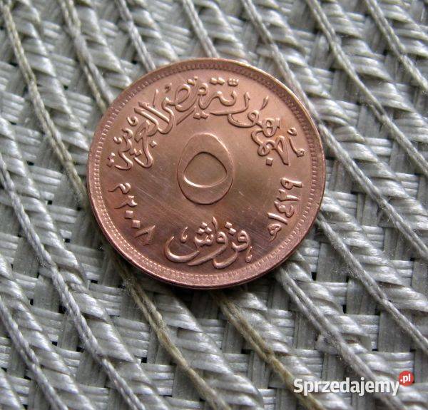 Egipt 5 Piastrów 2008r Numizmatyka Kalisz sprzedam