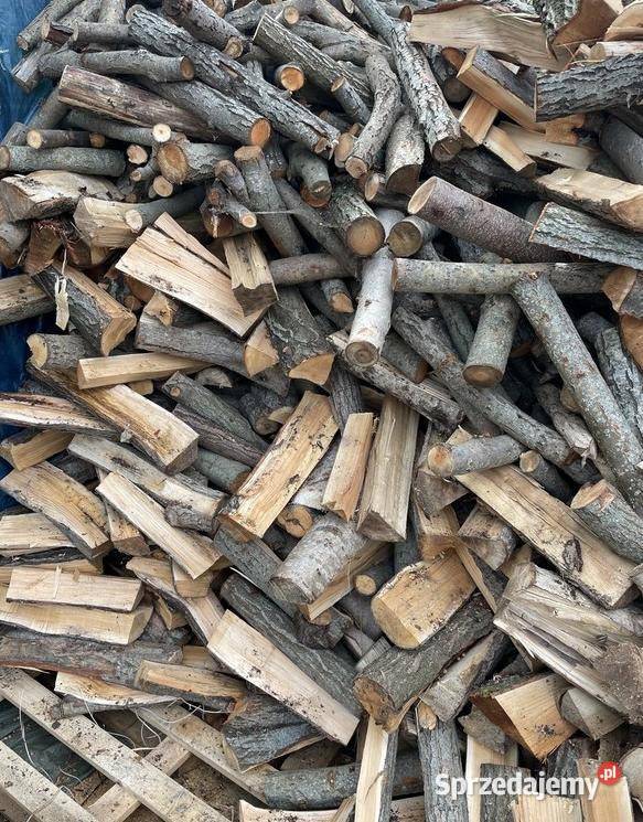 Drewno workowano do pieca kominka grilla 1025 zl Bydgoszcz