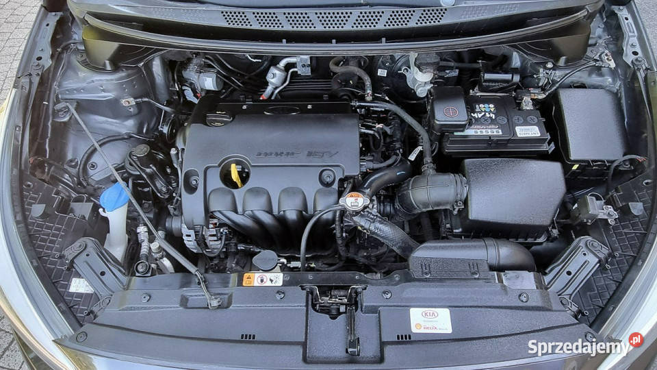 Kia Ceed Serwis Alu Prosty Silnik 14 100 światła do jazdy dziennej