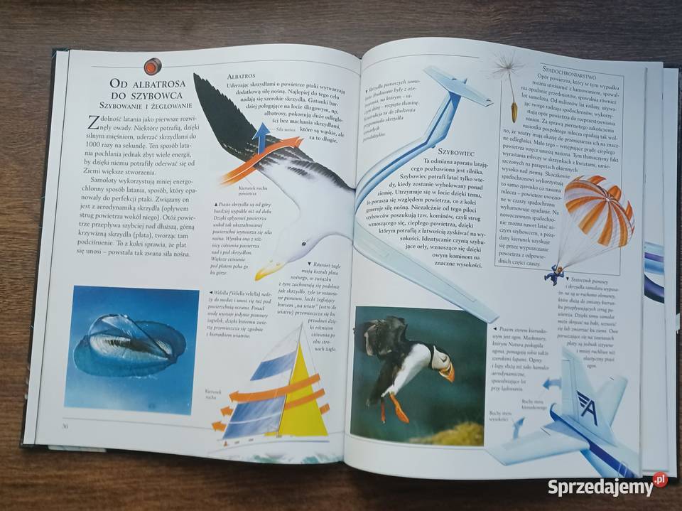 Phil Gates Wynalazki przyrody NOWA Książki naukowe i popularnonaukowe Tarnowo Podgórne