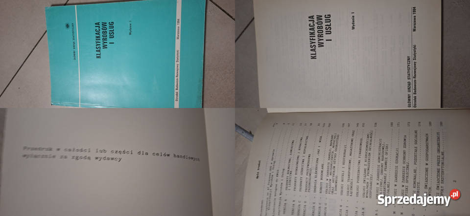 Klasyfikacja Wyrobów i Usług 1994 Rzadkie 1 Ostrów Wielkopolski