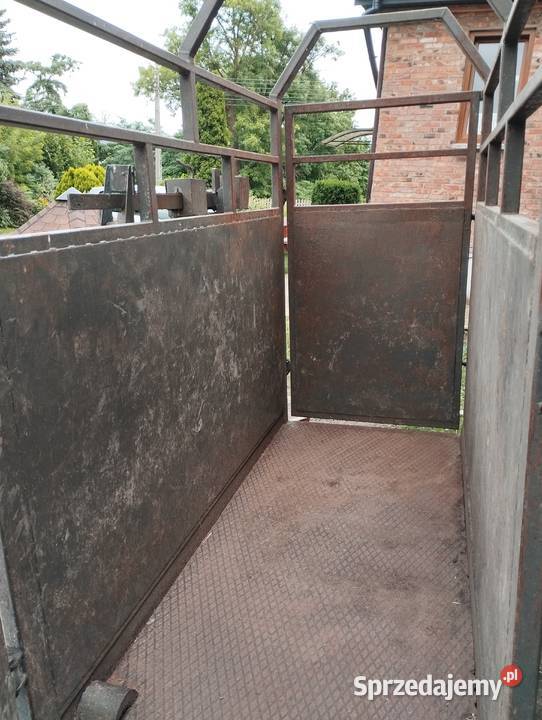 Waga do warzenia bydła