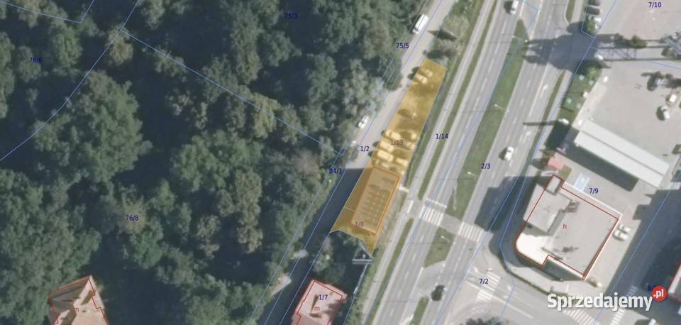 Budynek usługowo handlowy Nowy Sącz Piętro 1