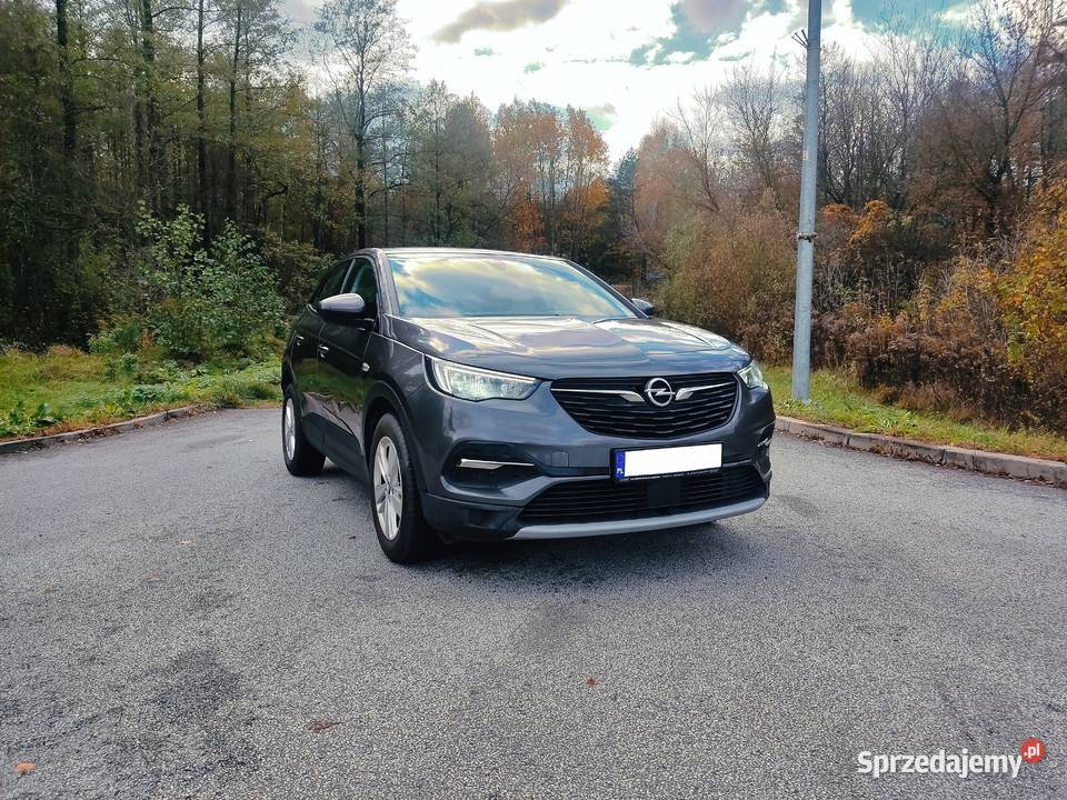 Opel Grandland 2021 POLSKI SALON BADANIA HIT Samochody osobowe Białystok