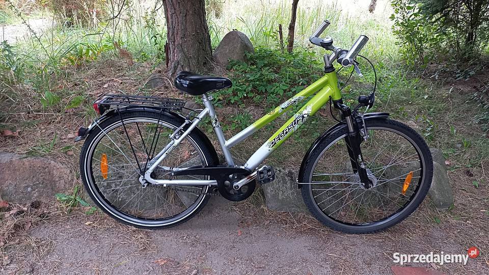 Alu Rower Miejski Młodzieżowy Pegasus Avanti Miejskie Wołów