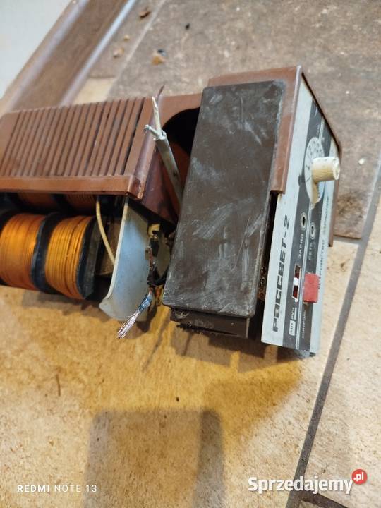 Prostownik rosyjski warmińsko-mazurskie Stankowo