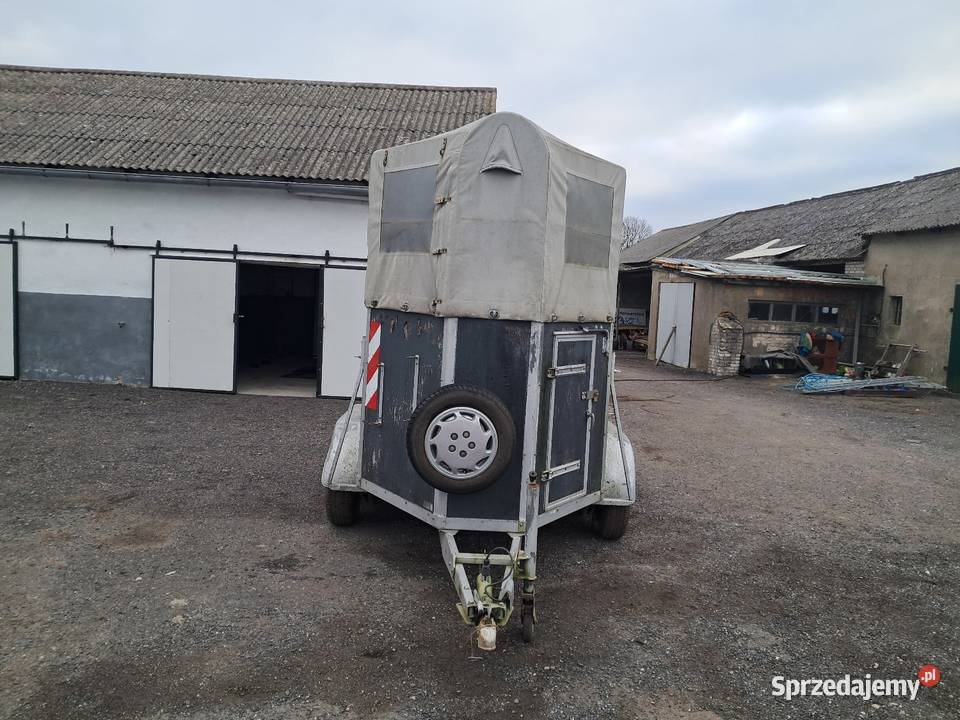 Przyczepa do koni Mogilno