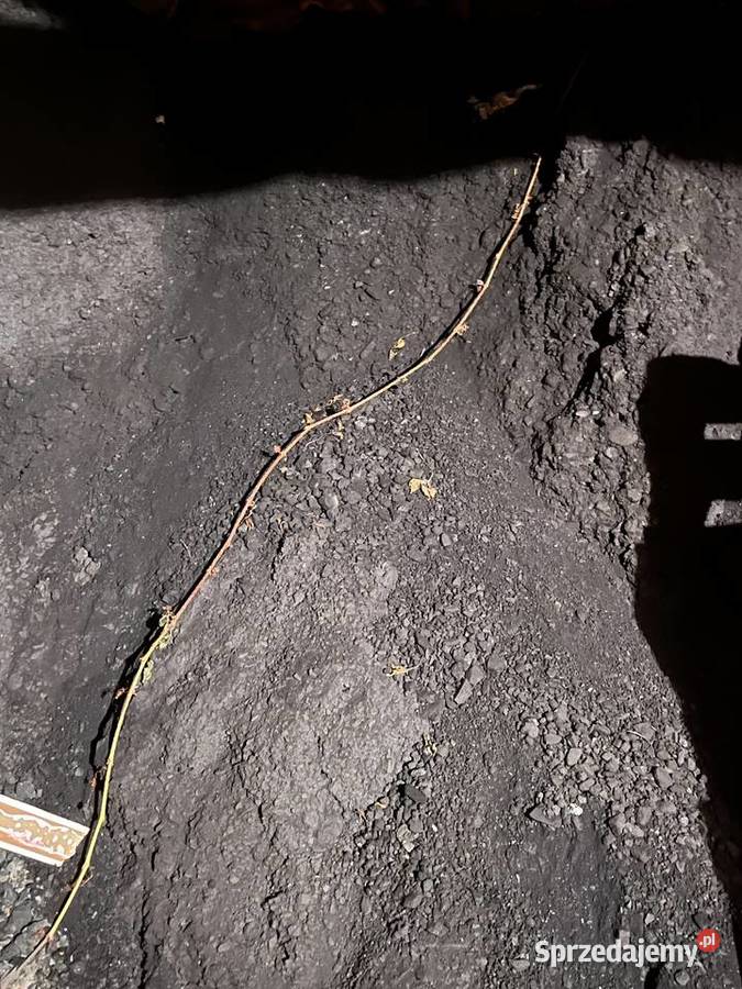 Miał do palenia Pozostałe Milanówek