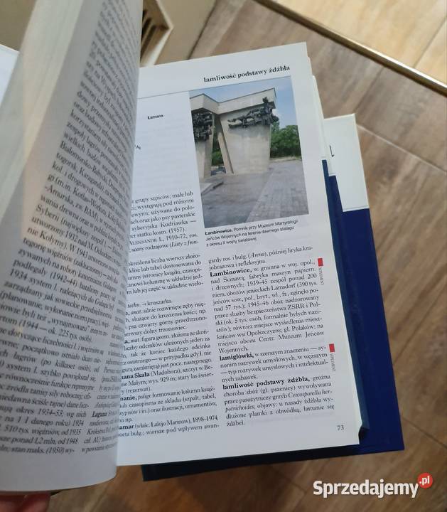 Encyklopedia 18 tomów Łódź