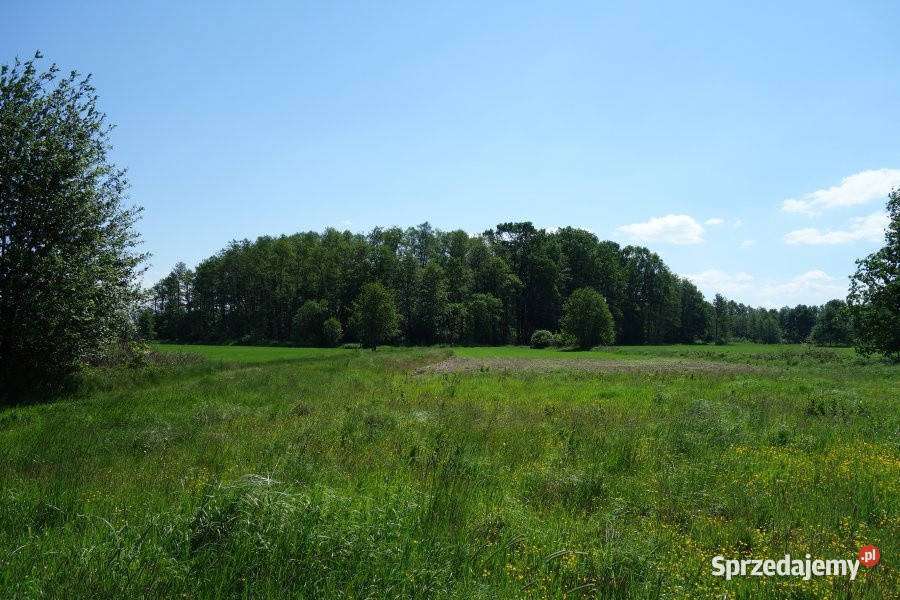 Skoczów Ochaby 57ar rolna pod lasem z pięknym rolna