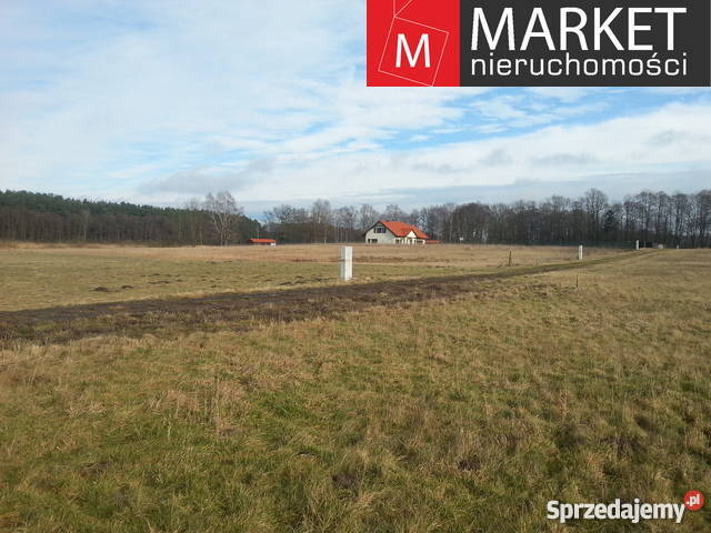 Grunt 2540m2 Zabierzewo