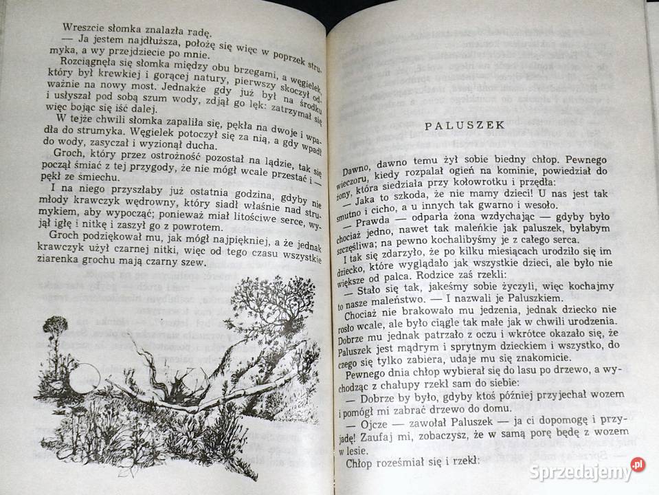 Baśnie Grimm Wilhelm i Jakub Grimm miękka Pozostałe Chełm