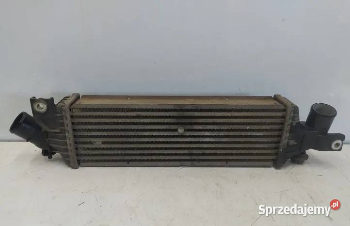 NISSAN PRIMERA p12 19 CHŁODNICA POWIETRZA wielkopolskie Ostrów Wielkopolski sprzedam