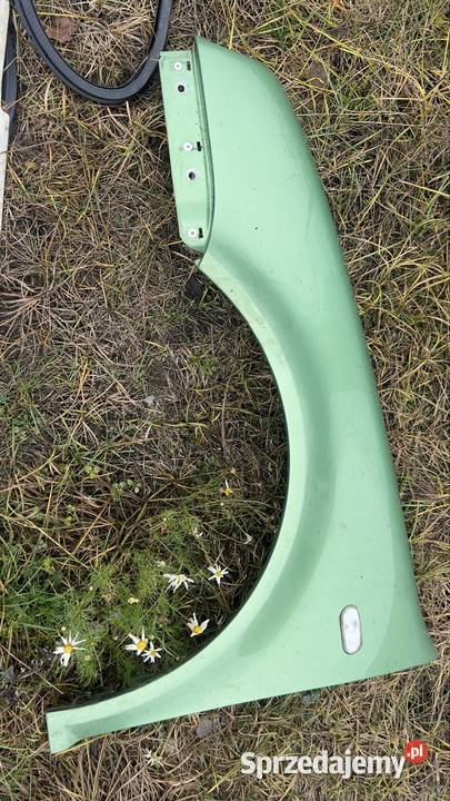 Blotnik przod lewy volkswagen golf 4 zielony Błotniki sprzedam