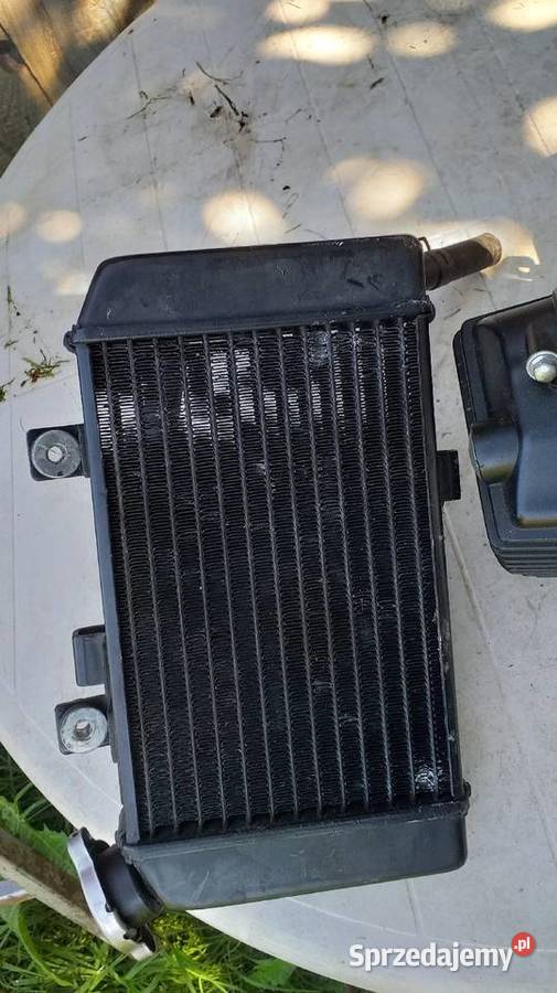 Silnik 4T 130ccm ciecz sprawny Lidzbark Warmiński