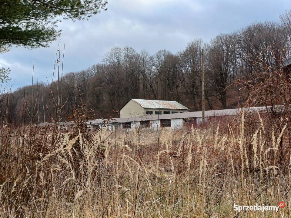 Nieruchomość komercyjna położona w zasięgu DK 28 Hołuczków