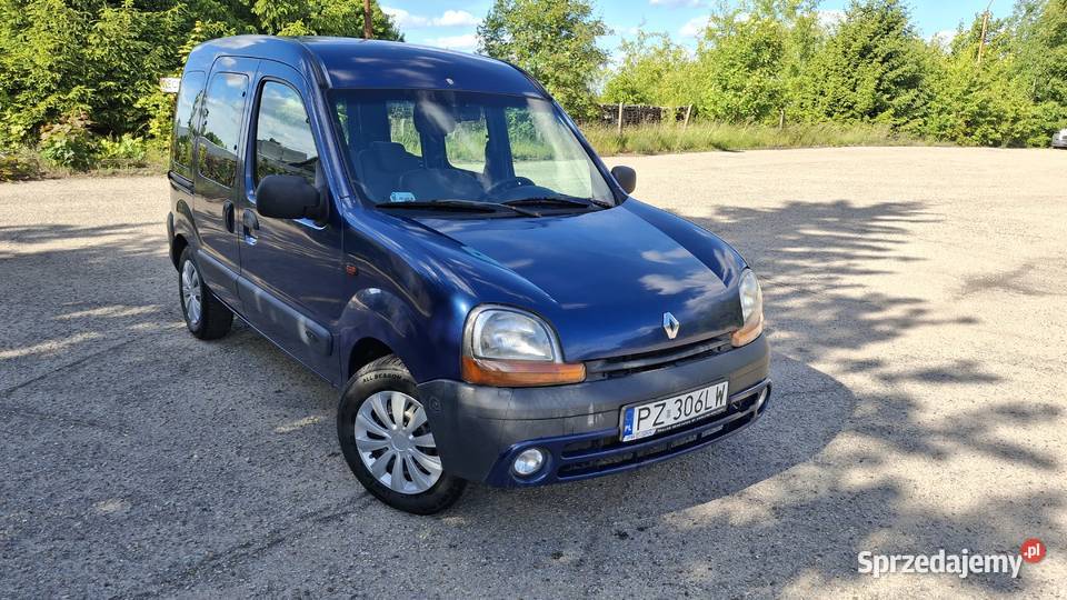 Renault Kangoo 14 Benzyna Ciężarowo Osobowy 75KM Trzcianka