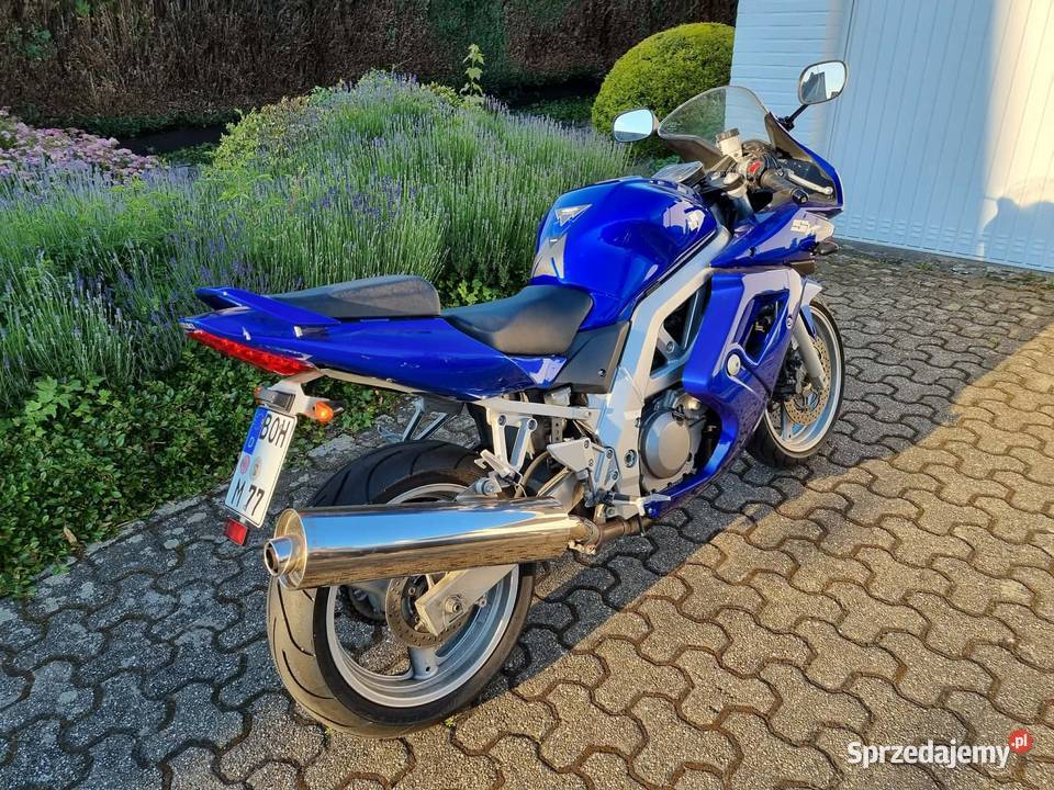 Suzuki SV650S K4 2003 Jarosław