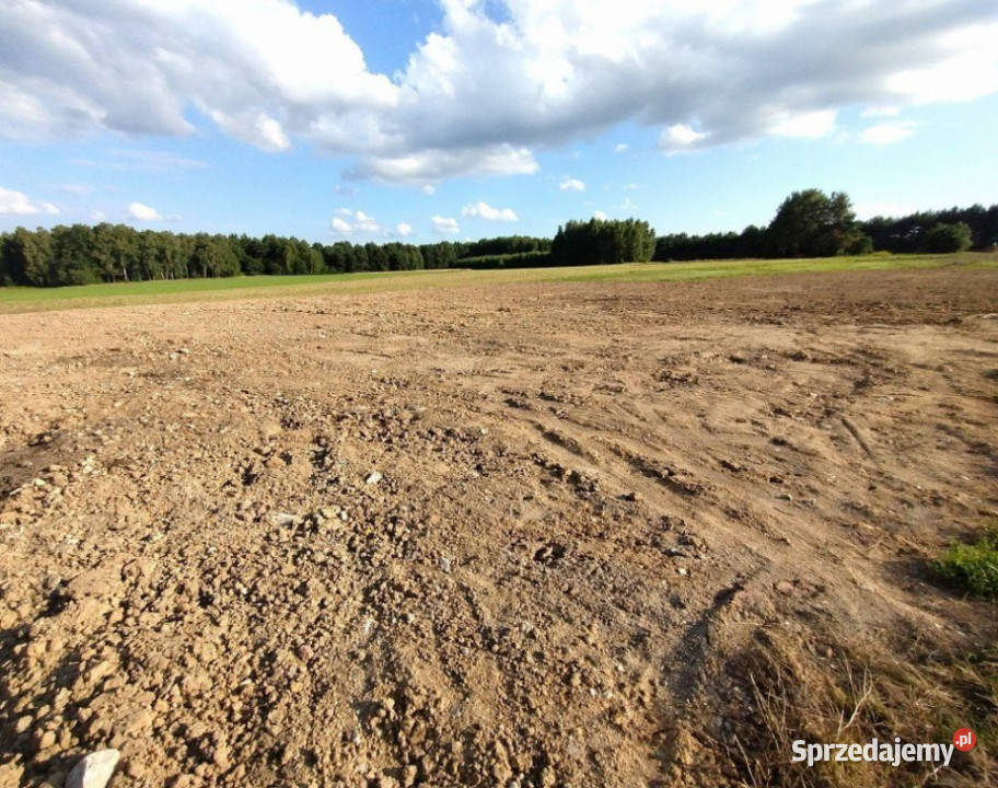 sprzedaży gruntu Lisów 1081m2