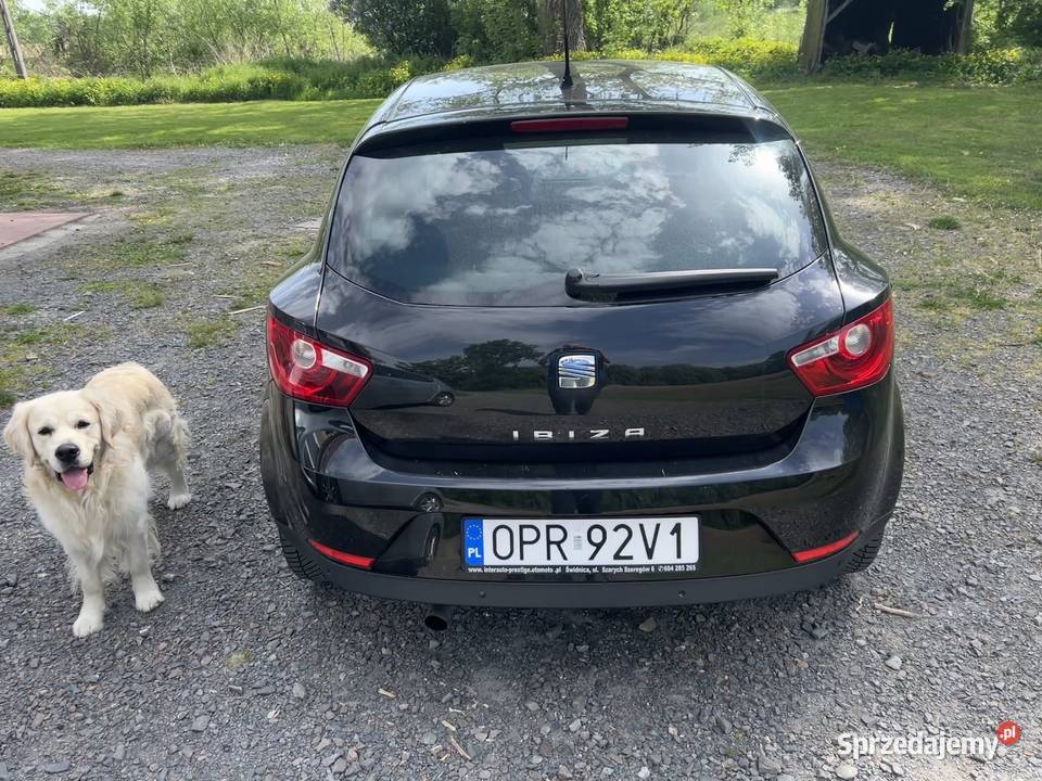 Seat ibiza 16 tdi Rok produkcji 2010 Prudnik