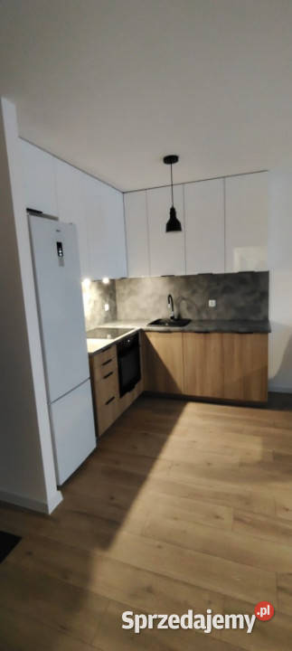 Mieszkanie na wynajem Rok budowy 2025 Bolszewo