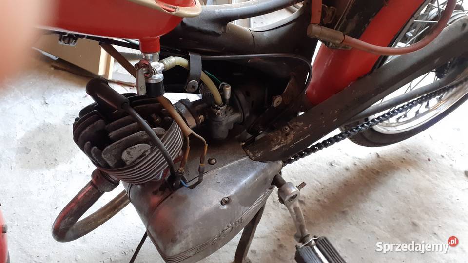 Komar na pedały Komar Komar Gnieszowice