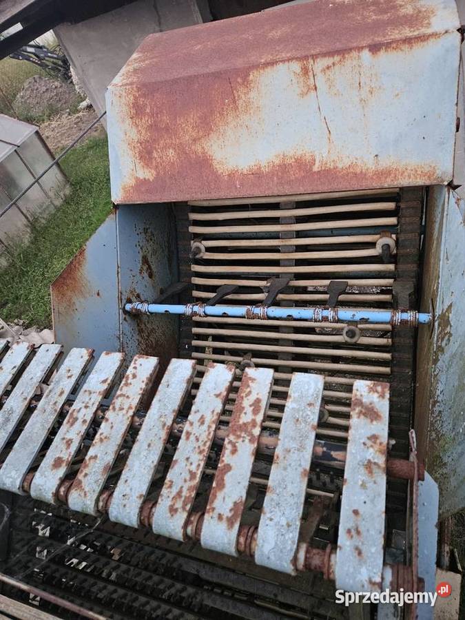 Kombajn do ziemniaków Anna Iwanowice Włościańskie