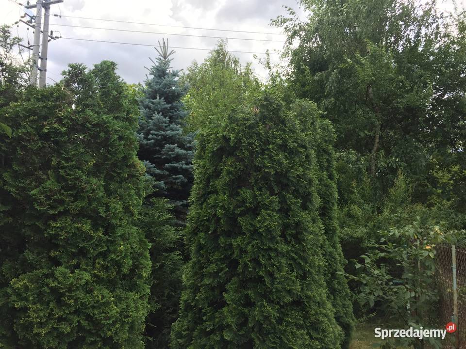 Sprzedam działkę ROD Jaroszówka Białystok