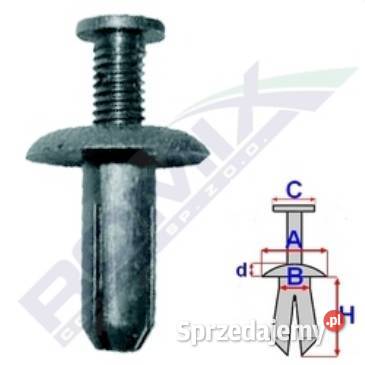 Kołek rozporowy Honda Toyota Szczecin