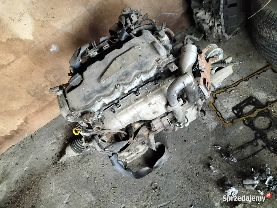 Nissan almera tino silnik skrzynia biegów 22 D Rok produkcji 1999 Kamień-Kolonia