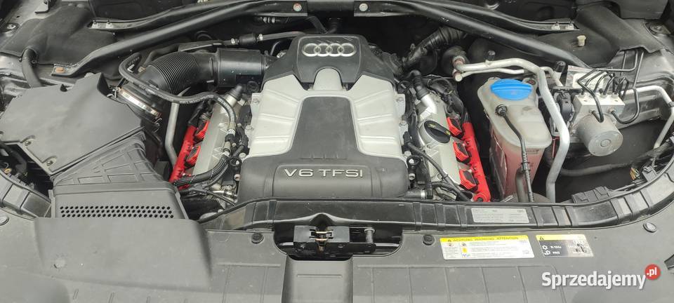 Audi SQ5 30 tfsi Quattro 354 konie Premium Plus