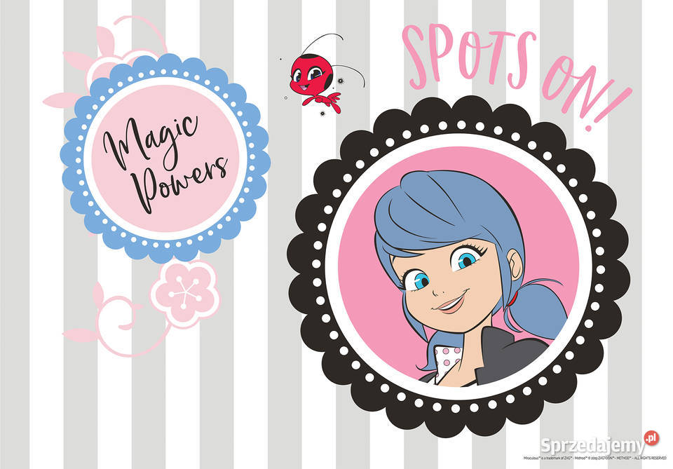 Tapeta fototapeta Miraculum Biedronka i Czarny