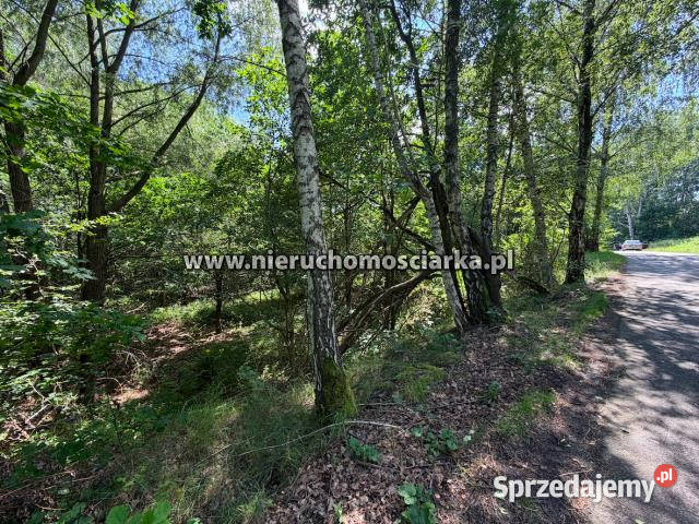 Działka Mszana 3550m2