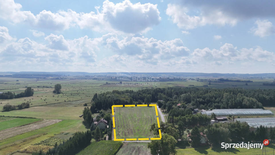 działka inwestycyjna 128 ha Barchaczów Łabunie 42m