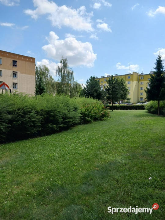 sprzedam mieszkanie Wronki Borek