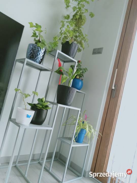 Duży kwietniki 6 stanowisk producent Dekoracje i ozdoby