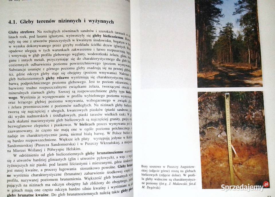 Polska w dobie przekształceń Florian Plit Jerzy Chełm